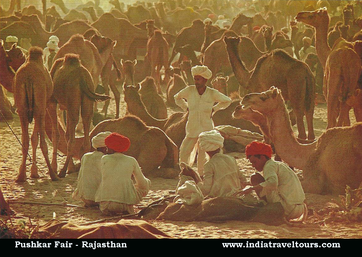 Pushkar Fair of Rajasthan