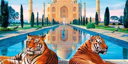 Taj Mahal and Wildlife