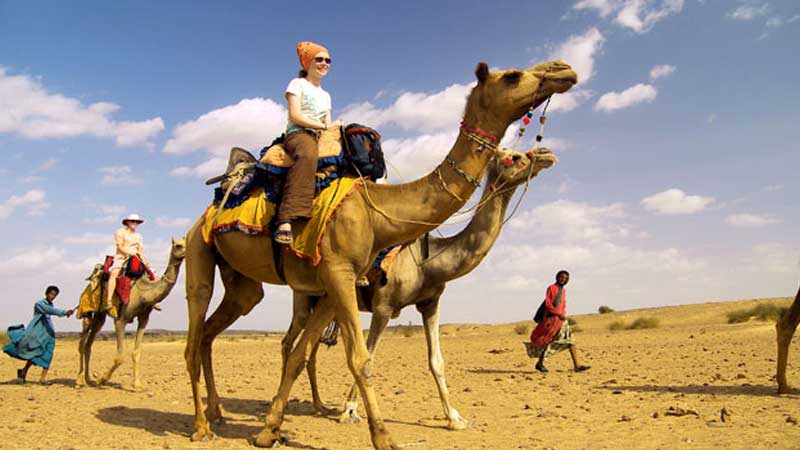 Rajasthan Jaipur Tour - Enjoy Camel Safari - Blog