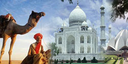 Taj Mahal Camel Lotus collage