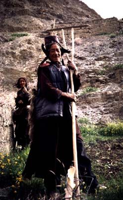 Ladakhi Villagers